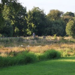 Fiets25_5915